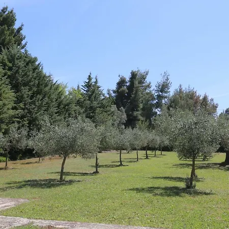 Dimi - 100m Beach, 4 Bdrms, Garden, Sea View Pefkochori